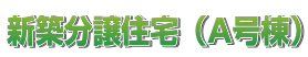 新築分譲住宅(A号棟)